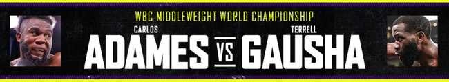 Fight poster showing Carlos Adames and Terrell Gausha in various poses.