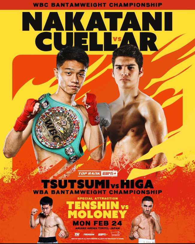 Fight poster showing Seiya Tsutsumi and Daigo Higa in various poses.